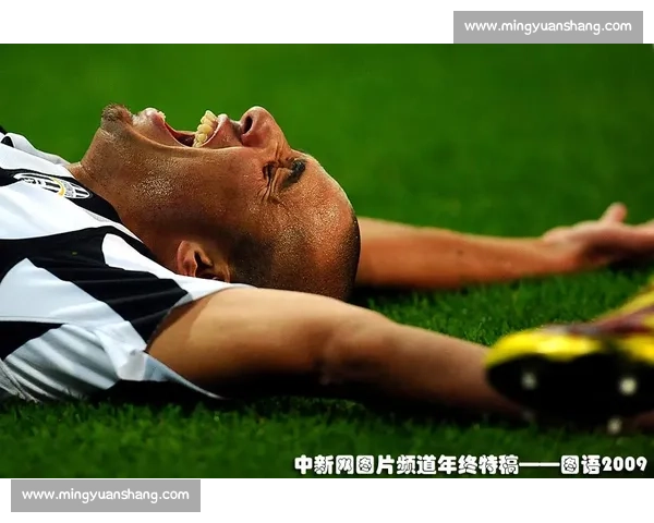 聚焦全球体育赛事动态解析赛场风云与明星表现趋势年度看点前瞻深度